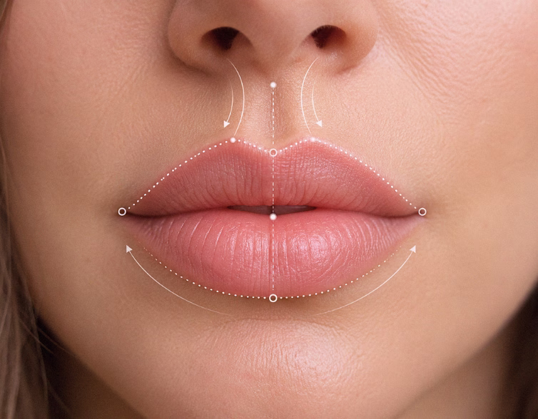 Anatomía labial